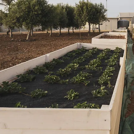 Nausicaa 4* Μαρσάλα